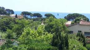 Le Gecko Sea View